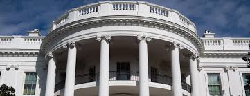 H-1B Workers to Lose Grace Period Under New White House Plan