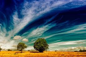 Intensification of El Niño Expected to Impact Global Climate Patterns