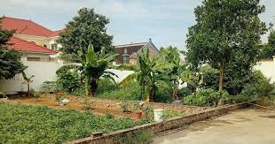 Land Prices Plummet: Some Areas See 75% Drop in Six Months