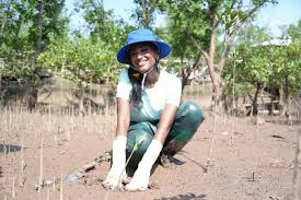 Miss World 2026 Contestant Plants Trees in Mangrove Forest