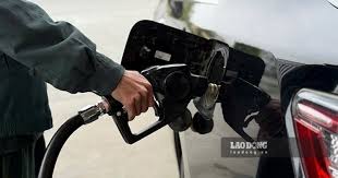 Oil Prices Decline on August 2: Global Trends and Local Adjustments