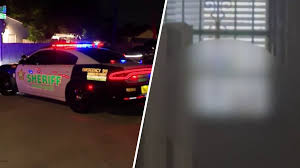 Perez Hilton's Livestream Incident Prompts Police Response