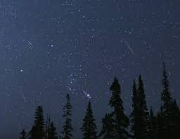 Perseid Meteor Shower: A Celestial Spectacle This August