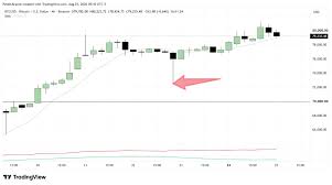 Peter Brandt Questions Binance After Bitcoin Price Anomaly