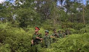 Security Forces Enhance Patrols Ahead of National Day