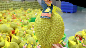 Traceability System for Durian from Farm to Export