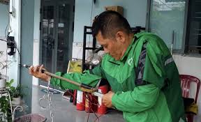 Two Arrested in Dog Theft Incident in Ho Chi Minh City