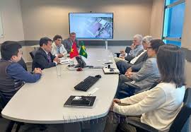 Vietnam and Brazil Enhance Cooperation in Digital Transformation