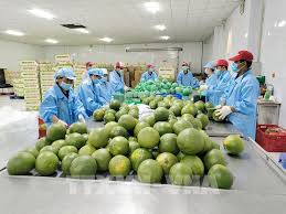 Vietnam's Budget Revenue from Trade Surges Nearly 19% in 7 Months