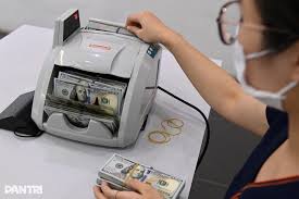 Vietnam's Central Exchange Rate Hits Record High as USD Drops
