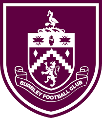 West Bromwich Albion vs Burnley: Championship Match Preview