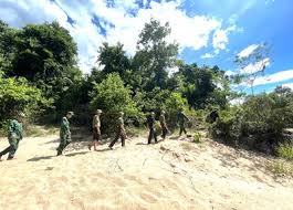 Community Security Forces: Guardians of Peace in Modern Times
