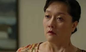 Controversy Surrounds Vân Dung's Role in 'That Summer'
