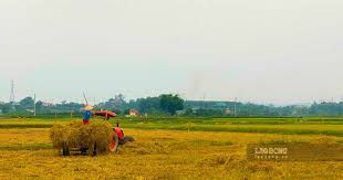 How to Convert Agricultural Land with Houses to Residential Land