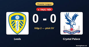 Leeds and Crystal Palace Share Points in Goalless Draw