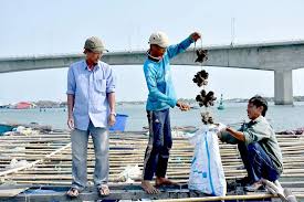 Proposal to Merge Administrative Units in Ho Chi Minh City