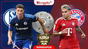 Schalke vs Bayern Munich: Bundesliga Clash Preview