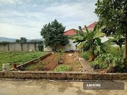 Significant Decline in Land Prices Across Various Regions