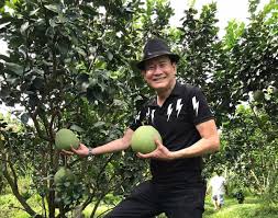 Vietnamese Singer Tuan Vu's Passion for Gardening in the U.S.