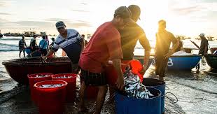 Bustling Fish Market in Southern Da Nang at Dawn