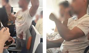 Passenger Panic as Co-Pilot Attacks Captain Mid-Flight
