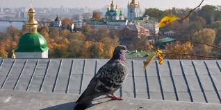 Ukraine to Experience Hottest Day of October