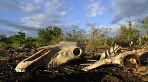UN Warns of Intensifying El Niño Before December Peak