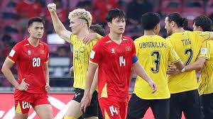 Vietnam's Disappointment at FIFA ASEAN Cup: A Regional Perspective